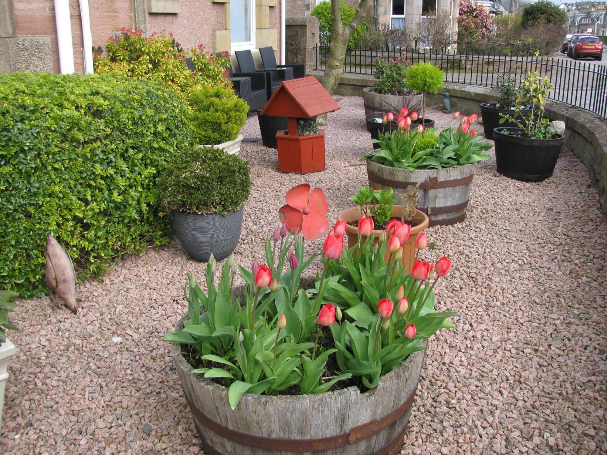 Fairfield Townhouse Guest House Inverness Dış mekan fotoğraf
