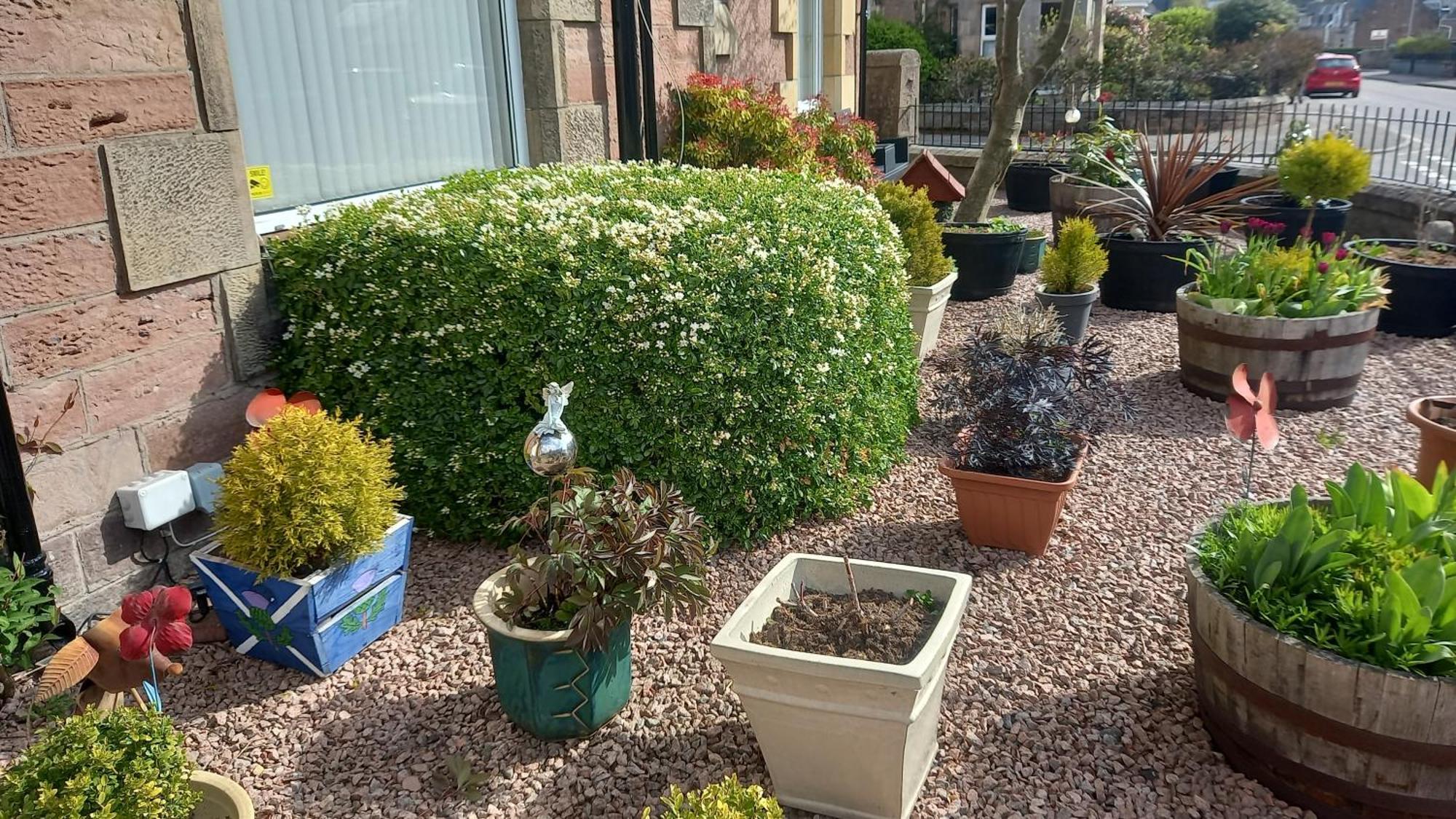 Fairfield Townhouse Guest House Inverness Dış mekan fotoğraf